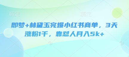 即梦+林黛玉完爆小红书商单，3天涨粉1千，靠怼人月入5k+-志拓网创