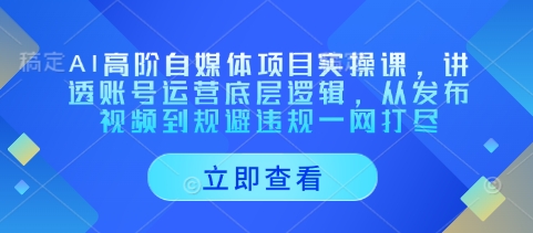 AI高阶自媒体项目实操课，讲透账号运营底层逻辑，从发布视频到规避违规一网打尽-志拓网创