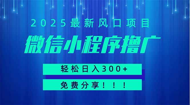 （14375期）微信小程序撸广，最新风口项目，日入300+ 免费分享 可批量操作 小白可…-志拓网创