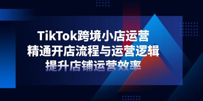 （14369期）TikTok跨境小店运营，精通开店流程与运营逻辑，提升店铺运营效率-志拓网创