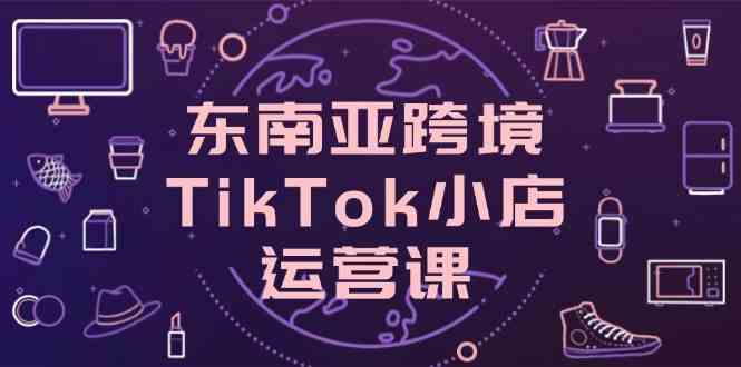 东南亚跨境TikTok小店运营课，掌握店铺设置与流量转化核心技巧-志拓网创