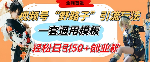 视频号“野路子”玩法，评论区疯狂截流，一套模板单日单号引流50+创业粉-志拓网创