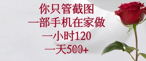 你只管截图，一部手机在家做，苹果安卓都可以，一小时120，一天5张+【揭秘】-志拓网创