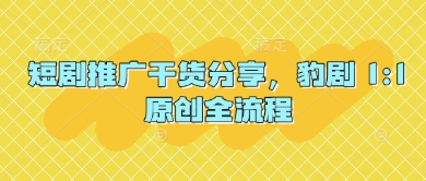 短剧推广干货分享，豹剧 1:1原创全流程-志拓网创