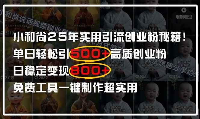 （14436期）小和尚2025年实用引流秘籍！单日轻松引500+高质量创业粉，日变现800+，…-志拓网创