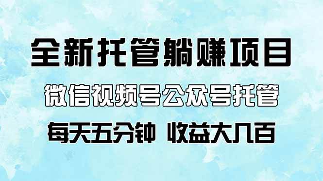 （14425期）全新托管躺赚项目，微信视频号公众号托管代运营，每天五分钟，收益大几百-志拓网创