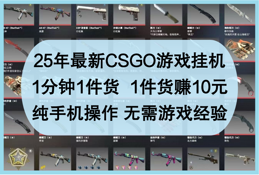 25年最新CSGO游戏挂机，1分钟1件货，1件货赚10元，纯手机操作，无需游戏经验-志拓网创