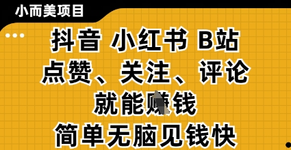 小而美的项目，抖音小红书B站视频点赞、关注、评论就能挣钱，简单无脑立见收益，妥妥的零撸项目【揭秘】-志拓网创