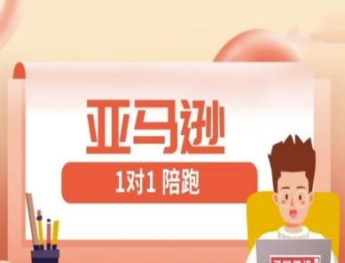 亚马逊1对1陪跑课(FBA/FBM精铺)跨境亚马逊教程-志拓网创