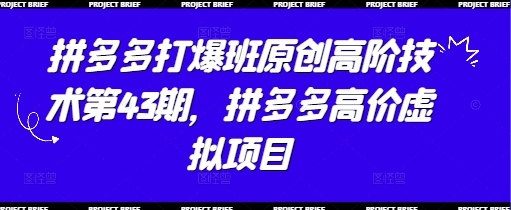 拼多多打爆班原创高阶技术第43期，拼多多高价虚拟项目-志拓网创