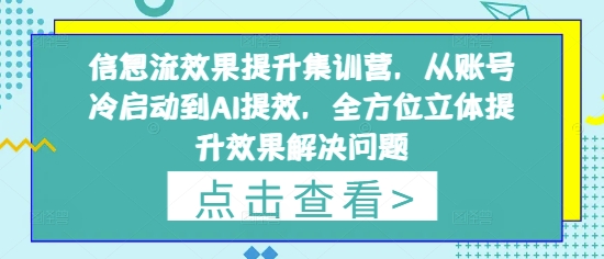 信息流效果提升集训营，从账号冷启动到AI提效，全方位立体提升效果解决问题-志拓网创
