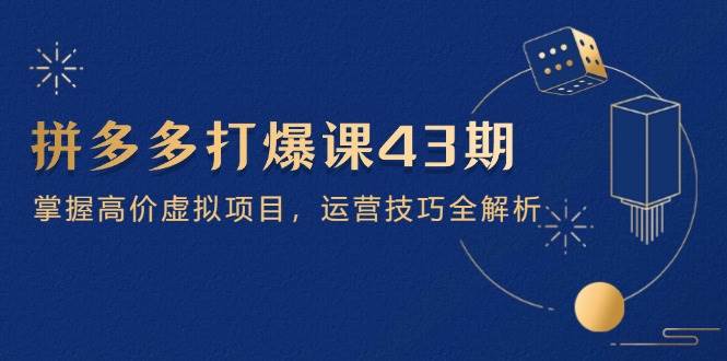 （14546期）拼多多打爆课第 43 期，掌握高价虚拟项目，运营技巧全解析（15节）-志拓网创