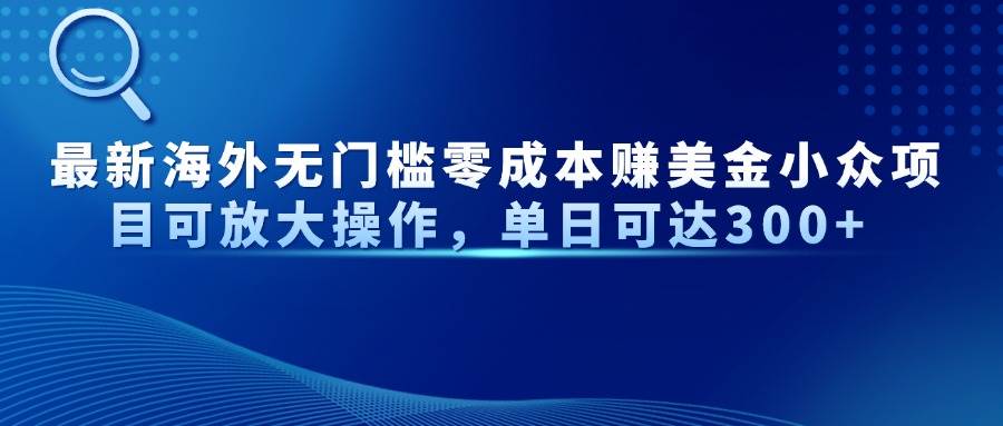 （14542期）最新海外无门槛零成本赚美金小众项目可放大操作，单日可达300+-志拓网创