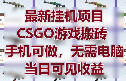 最新挂G项目，CSGO游戏搬砖，手机可做，无需电脑，当日见收益【揭秘】-志拓网创