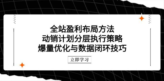 （14698期）全站盈利布局方法：动销计划分层执行策略，爆量优化与数据闭环技巧-志拓网创