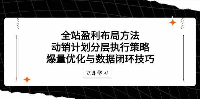 全站盈利布局方法：动销计划分层执行策略，爆量优化与数据闭环技巧-志拓网创