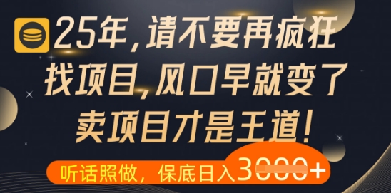 什么？25年你还在疯狂找项目做，醒醒吧，看完这些你全都懂了【揭秘】-志拓网创