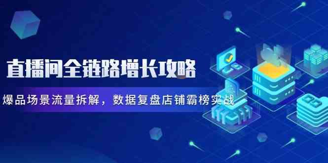 直播间全链路增长攻略，爆品场景流量拆解，数据复盘店铺霸榜实战-志拓网创