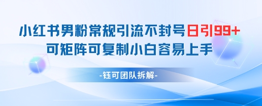 小红书男粉常规引流不封号日引99+变现简单 可矩阵可复制小白容易上手-志拓网创