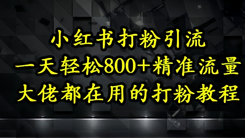 小红书打粉引流，一天轻松500+精准流量，大佬都在用的打粉教程-志拓网创