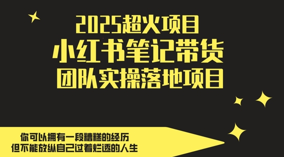 2025超火项目，副业最佳选择，小红书笔记带货团队实操落地项目，，轻松日入5张-志拓网创