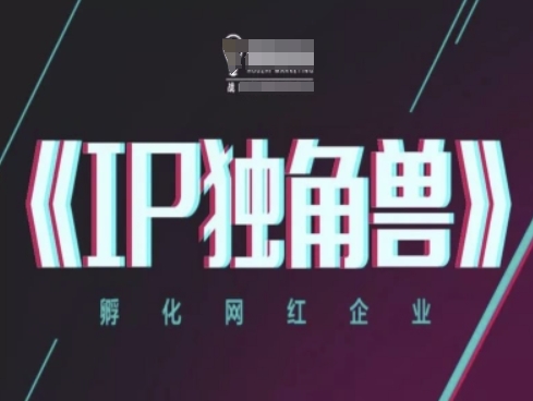 IP独角兽，孵化网红企业，ip教程-志拓网创