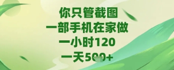 你只管截图，一部手机在家做，苹果安卓都可以，一天5张+【揭秘】-志拓网创