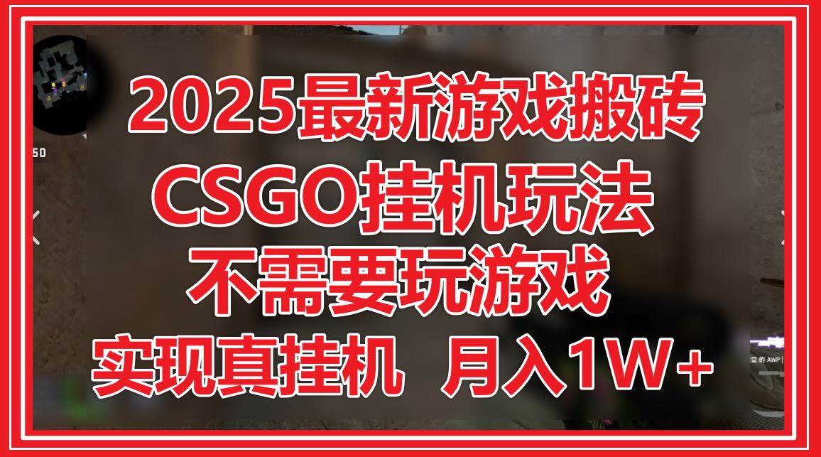 （14743期）2025最新游戏搬砖，CSGO挂机，不需要玩游戏，实现真挂机，月入1W+-志拓网创