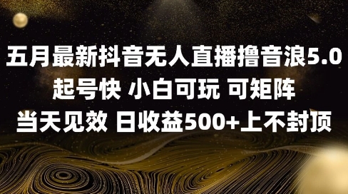 2025五月最新无人直播撸音浪单日产出5张+实操教程【揭秘】-志拓网创