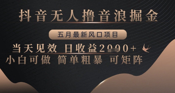 抖音无人撸音浪掘金，五月最新风口项目，当天见效，日收益多张，小白可做简单粗暴可矩阵【揭秘】-志拓网创