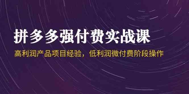 拼多多强付费实战课-44期，高利润产品项目经验，低利润微付费阶段操作-志拓网创