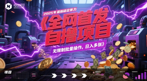 全网首发，2025年最新稳定暴力全自动自撸项目，无限制批量操作，日入多张【揭秘】-志拓网创