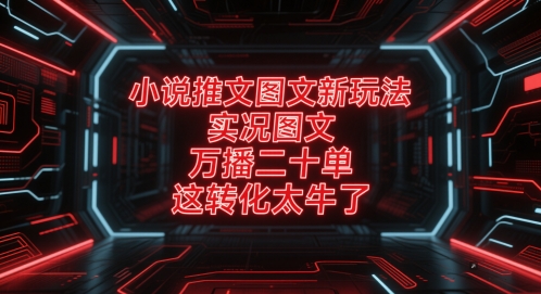 小说推文图文新玩法，实况图文，万播二十单，这转化太牛了！-志拓网创
