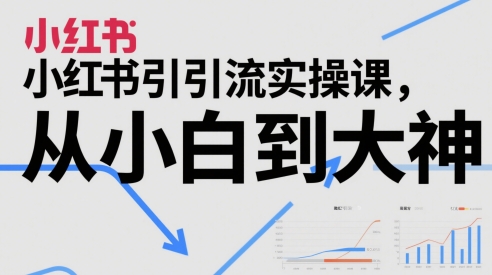 小红书引流实操课，从小白到大神-志拓网创