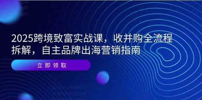 2025跨境致富实战课，收并购全流程拆解，自主品牌出海营销指南-志拓网创