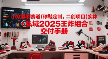 小众暴利赛道(球鞋定制，二创项目)实体+私域2025王炸组合  交付手册-志拓网创