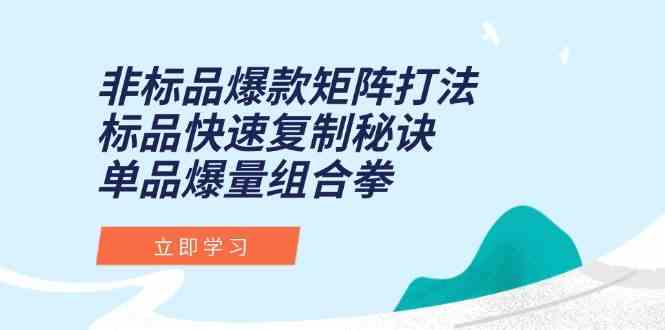 非标品爆款矩阵打法，标品快速复制秘诀，单品爆量组合拳-志拓网创