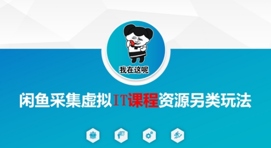 闲鱼采集虚拟IT课程资源另类玩法，干货满满-志拓网创
