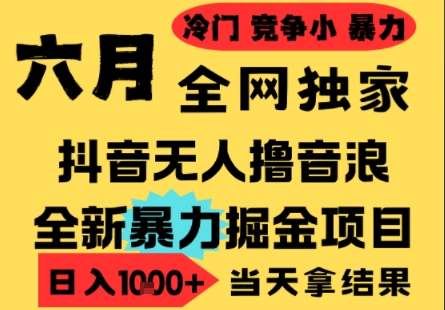 25年6月高爆抖音无人直播最新撸音浪掘金项目，小白可做，无脑日入1k+，门槛低可批量矩阵【揭秘】-志拓网创