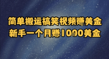 简单搬运搞笑视频挣美金，新手一个月入1k美金-志拓网创
