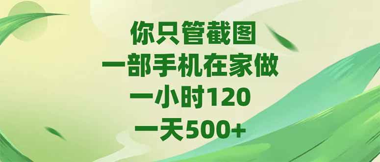 （15039期）你只管截图，一部手机在家做，一小时120，-天500+-志拓网创
