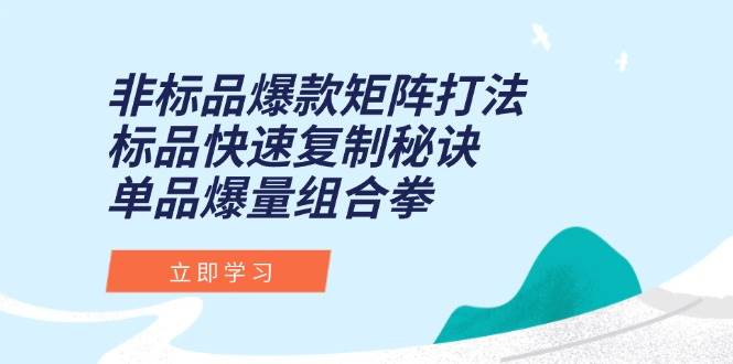 （15068期）非标品爆款矩阵打法，标品快速复制秘诀，单品爆量组合拳-志拓网创