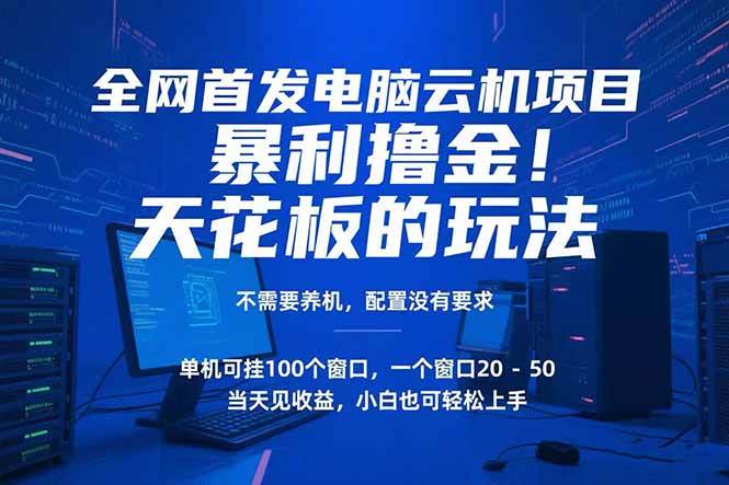 （15323期）电脑云机项目 暴力撸金玩法，不需要养机 配置没有要求 单机100个窗口一…-志拓网创