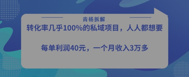 转化率最高的私域项目，每单利润40-50米，月入过1w-志拓网创
