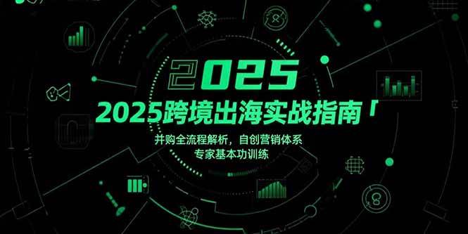 （15503期）2025跨境出海实战指南，并购全流程解析，自创营销体系，专家基本功训练-志拓网创