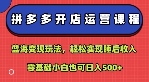拼多多开店运营课程：蓝海变现玩法，轻松实现睡后收入，零基础小白也可日入5张-志拓网创