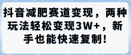 抖音减肥赛道变现，两种玩法轻松变现3W+，新手也能快速复制-志拓网创