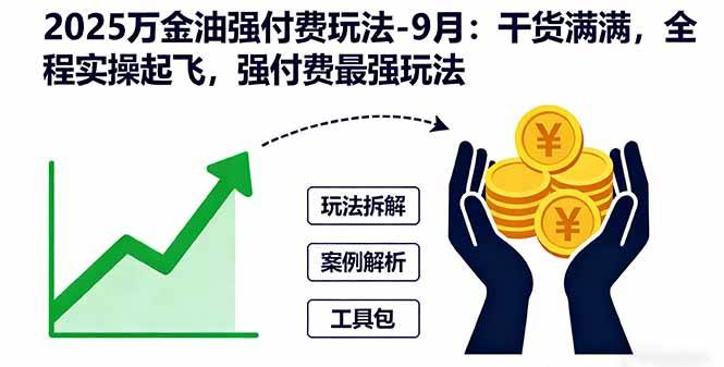 （16202期）2025万金油强付费玩法-9月：干货满满，全程实操起飞，强付费最强玩法-志拓网创