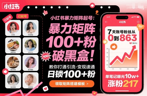 小红书暴力矩阵起号，教你打通引流-变现速通，日锁100+粉，破流量黑盒-志拓网创
